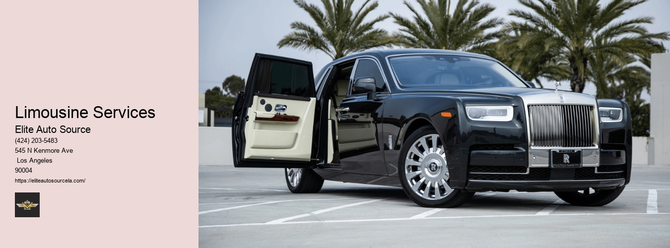 Limousine Services